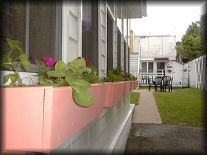 Untitled-30.jpg